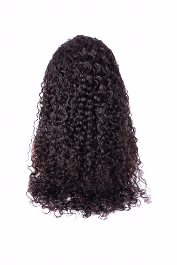 Lavish Water Wave Lace Front Wig