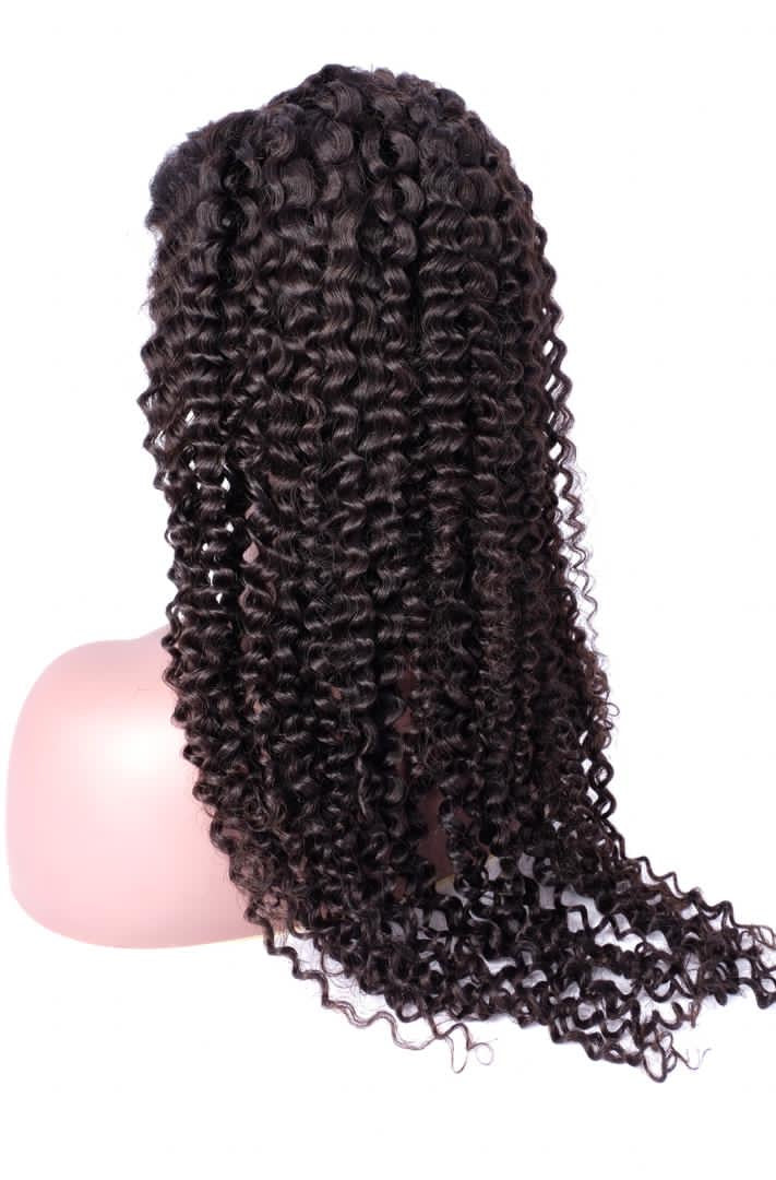 Lavish Deep Curly Lace Front Wig