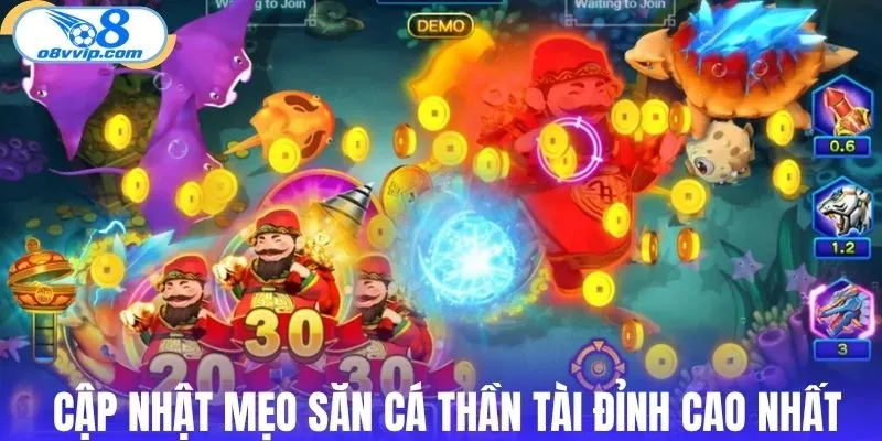 Bỏ túi kinh nghiệm săn cá đỉnh cao nhất