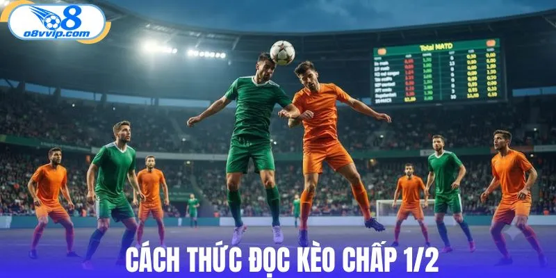 Cách thức đọc kèo chấp 1/2