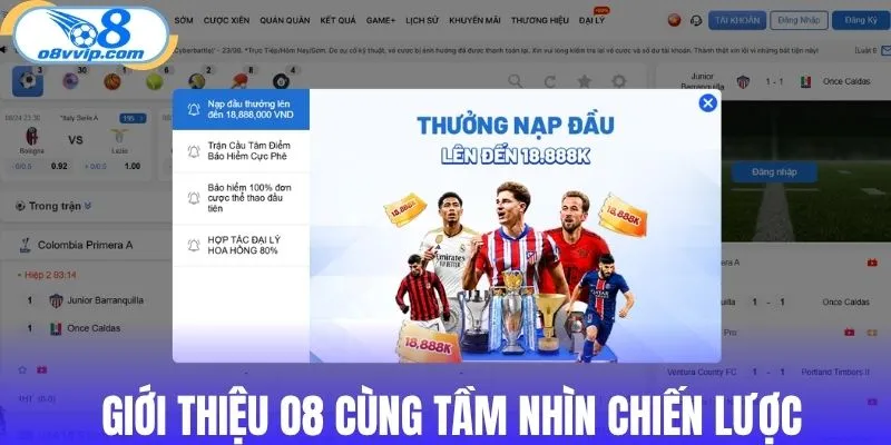 Giới thiệu O8 tầm nhìn chiến lược của thương hiệu