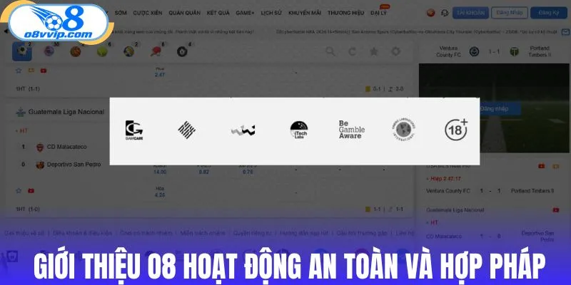 Giới thiệu O8 hoạt động an toàn và hợp pháp